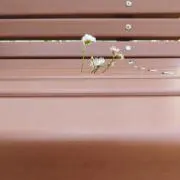 丸山昇平