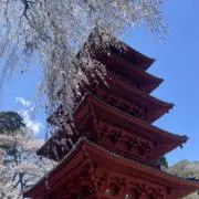 おマメの画像