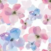 387_mayuの画像