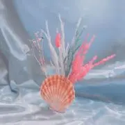 meg