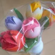 鬱金香の画像