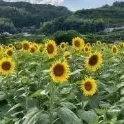 同時購入お得！PRご確認お願い致しますの画像