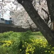 ミニぱんの画像