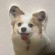 みう