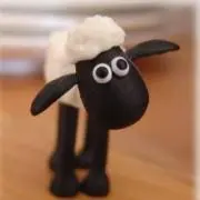 メリーの画像