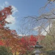 るの画像