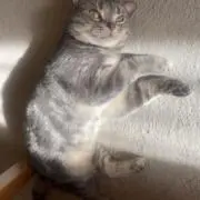 Mayu3の画像