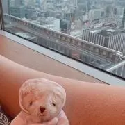 MISAの画像