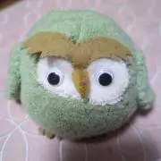 あずきの画像