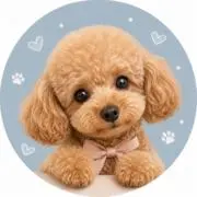 とまこの画像