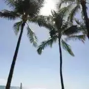 miの画像