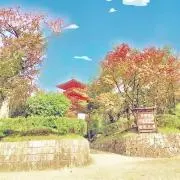 ゆば