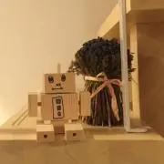 ari77