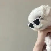 mの画像