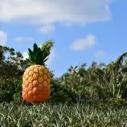 そらの画像