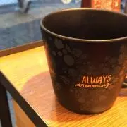 ミッちゃんの画像