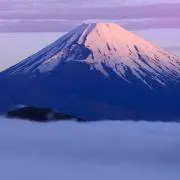 徳川