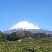 エアブルーの画像