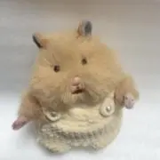 Paniの画像