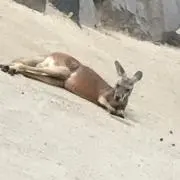 熊野