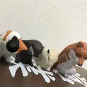 ちゅんの画像
