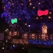 伊桜里(いおり)の画像