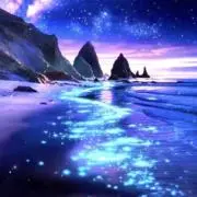 たま✨即購入OK✨の画像