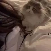 なぁの画像