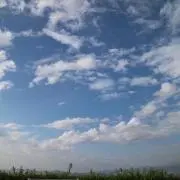 ヤマキの画像