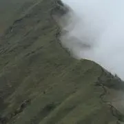 ちびろ