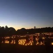 断捨離したえもん☆の画像