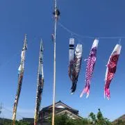 つっちの画像