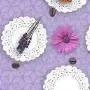 ささみかんの画像