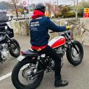 Tamaou