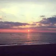 Jasの画像