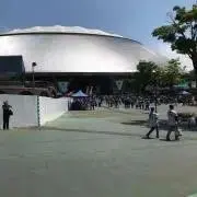 NMの画像