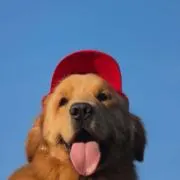 Sａ！の画像