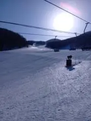 masaの画像