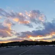 ドヌーヴ　※8/28発送できませんの画像