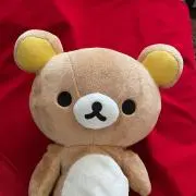 yumeの画像