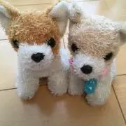 断捨離中★の画像