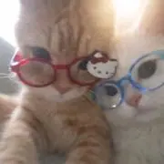 ！♪の画像