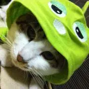 ゆかたん