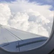 もっちの画像
