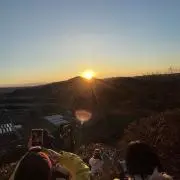 びーの画像