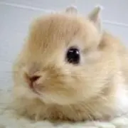 かっちゃん☆の画像