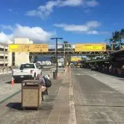 モヤックスの画像