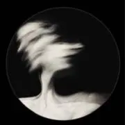 石の上に3ヶ月(プロフ必読)の画像