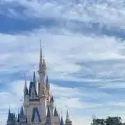 ポチの画像