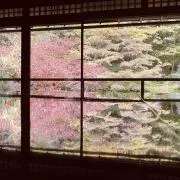 momo☆在庫確認します⭐︎プロフ必須☆の画像